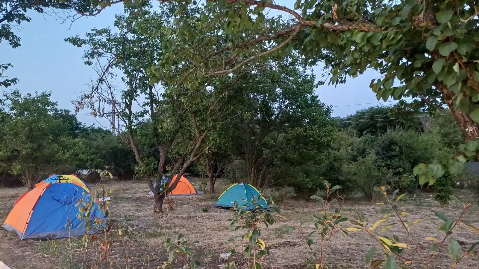 Cazare Cort camping - imagine 4