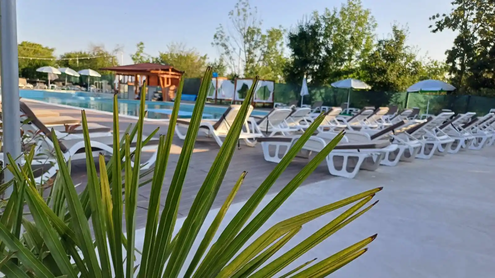 Piscina Principală